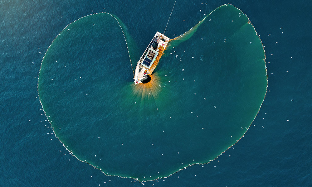 fishing boat at sea with a large net
