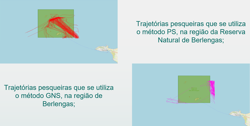 Team 3 identified different fishing methods in use in the Berlengas Natural Reserve Team 3 identified different fishing methods in use in the Berlengas Natural Reserve