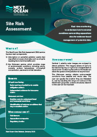 Site Risk Assessment fact sheet